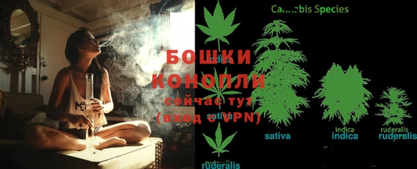 дурь Алзамай