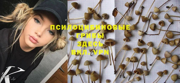 эйфоретик Аркадак