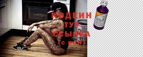 дурь Алзамай
