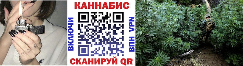 купить цена Оленегорск Бошки Шишки план